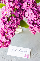 Spring concept with lilac flowers