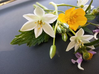 Bright spring background with yellow and orange flowers