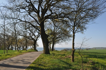 Obraz premium Groß Stresow, Rügen