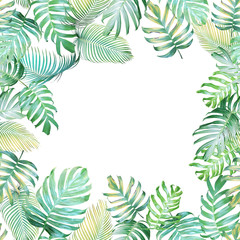 Tropical background with Monstera philodendron and palm leaves in light green-yellow color tone, tropical leaves frame on white background.