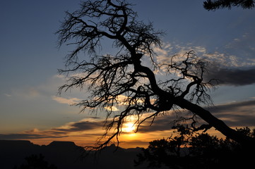 Sonnenaufgang am Grand Canyon