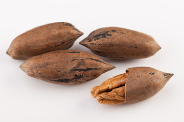 Pecan nuts isolated on white background