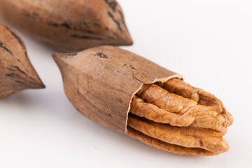 Pecan nuts isolated on white background