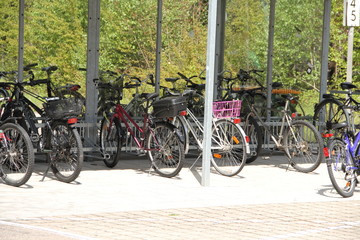 viele Fahrräder