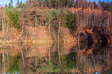 jesień nad rzeką Łyną © Janusz Lipiński