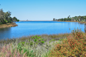 Lake Miramar in San Diego, California where people go fishing, jogging, or walking along the coastline