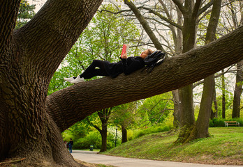 A woman sits up in a tree.