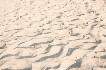 sand texture of a beach in the summer