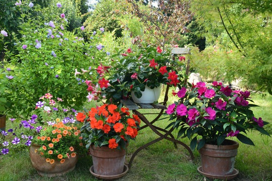 Garten 783