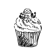 Hand drawn cupcake isolated on white background. Sketch, vector illustration.