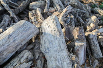 Pile of wood in the garden