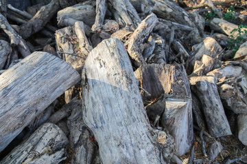 Pile of wood in the garden