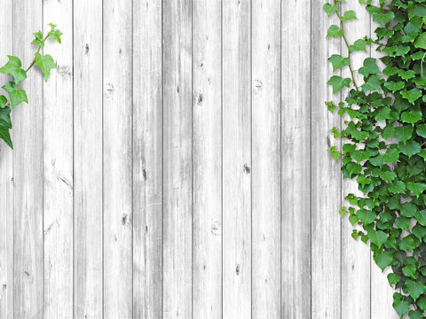 白い木目 Images Browse 53 Stock Photos Vectors And Video Adobe Stock