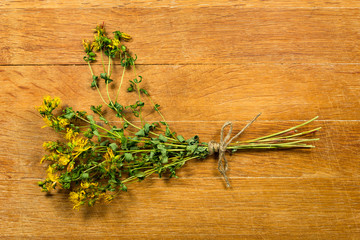 Tutsan. Dried herbs. Herbal medicine, phytotherapy medicinal herbs.