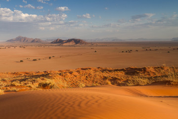 Fototapeta na wymiar View from the top of the Elim dune