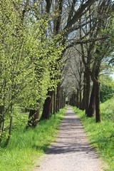 Frühjahr im Rhäden