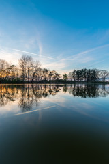 Several trees reflected in surface of pond in the evening © yommy