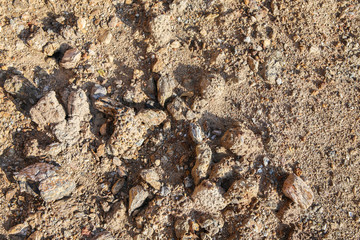 ground