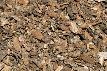 Cortezas de árboles.
Cortezas amontonadas que usarán como abono y decoración del jardín.
