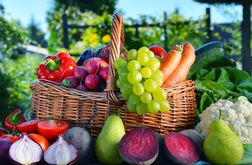 Fresh organic vegetables and fruits in the garden