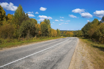 Empty road through the forest