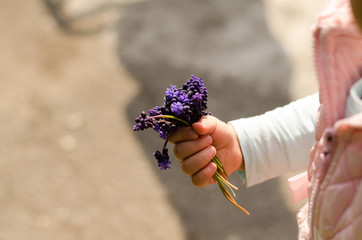 Baby girl holding bouquet of flower