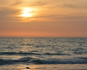 A beautiful sunset over the Gulf of Mexico on Indian Rocks Beach, Florida.