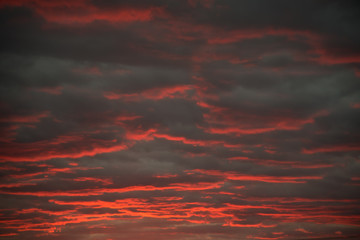 Red Linning