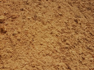 Soil surface texture background