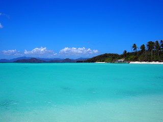 Fototapeta premium OLYMPUS DIGITAL CAMERA