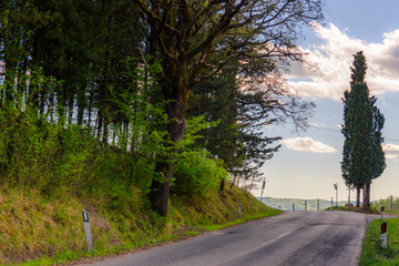 Obraz premium A road near the town of Radda in the Chianti wine area in spring