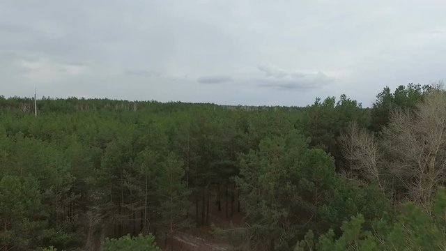 Aerial view footage of green forest.