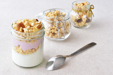 greek yogurt with fruit and nut crunchy
