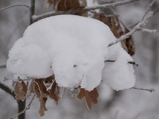 Ein Hut aus Schnee