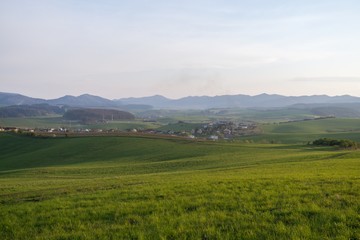 Fototapeta premium Meadow with trees and views to mountains. Slovakia