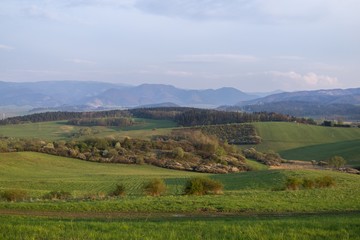 Obraz premium Meadow with trees and views to mountains. Slovakia