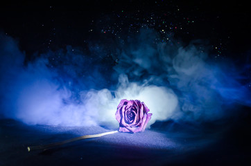 A wilting rose signifies lost love, divorce, or a bad relationship, dead rose on dark background