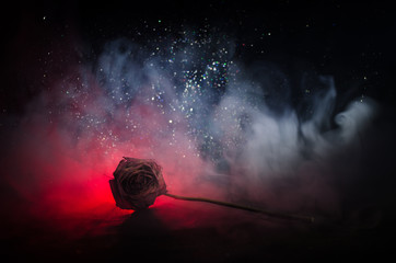 A wilting rose signifies lost love, divorce, or a bad relationship, dead rose on dark background