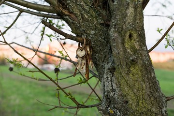 Obraz premium Rusty keys on tree. Slovakia