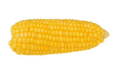 Corn cob. Boiled sweet corn.