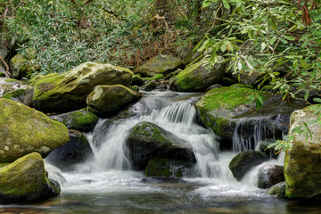 Fototapeta na wymiar Smoky Mountains National Park Mossy creek cascade