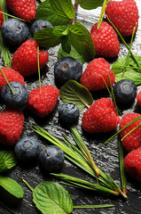 Rubus idaeus Vaccinium myrtillus Skovbær Frutti di bosco Fruita del bosc Waldbeeren Fruta del bosque Fruit rouge Soft fruits   Frutos silvestres ثمرة  vermelho توت Berries Jagody ягоды Bogyók Bessen © Comugnero Silvana