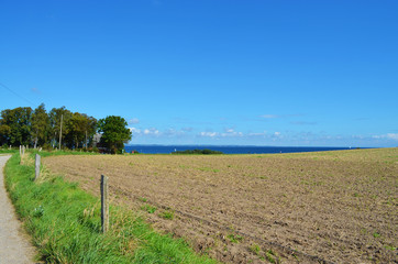 Fototapeta na wymiar Coast of Schleswig-Holstein with view to the sea