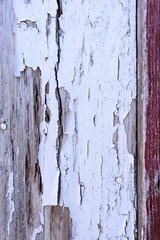 Crackled White Paint