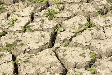 Drought, dry, cracked soil, no rain, natural disaster.