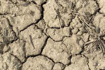 Drought, dry, cracked soil, no rain, natural disaster.