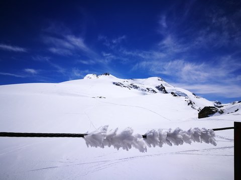 Monte Cevedale