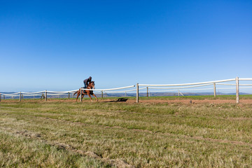 Obraz na płótnie Canvas Race Horse Rider Running Training Track