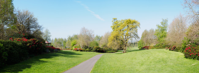 Panoramic view of spring garden in Northern Ireland