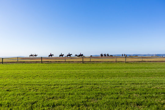 Race Horses Riders Training Track Landscape